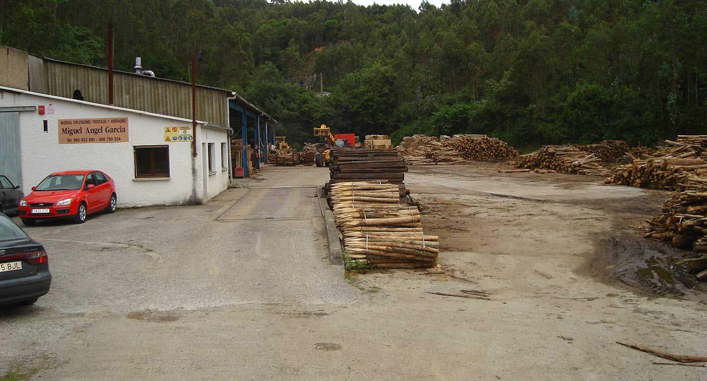 suministros-de-maderas-asturias.jpeg